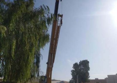 tree removal crane (1)